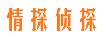 合浦寻人公司